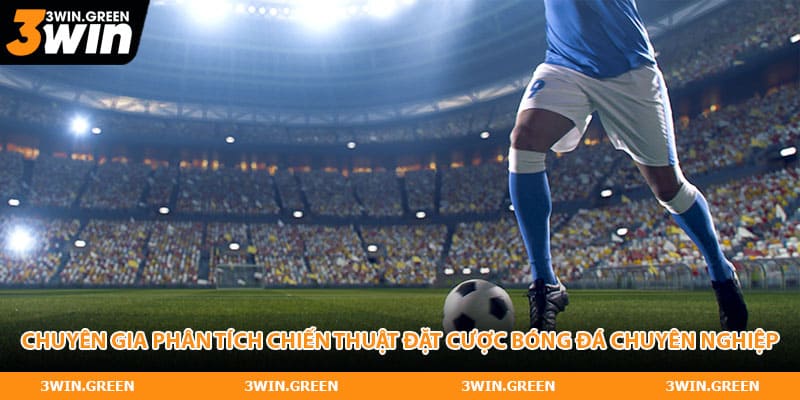 Chuyên gia phân tích chiến thuật đặt cược bóng đá chuyên nghiệp