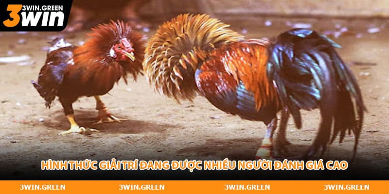 Hình thức giải trí đang được nhiều người đánh giá cao